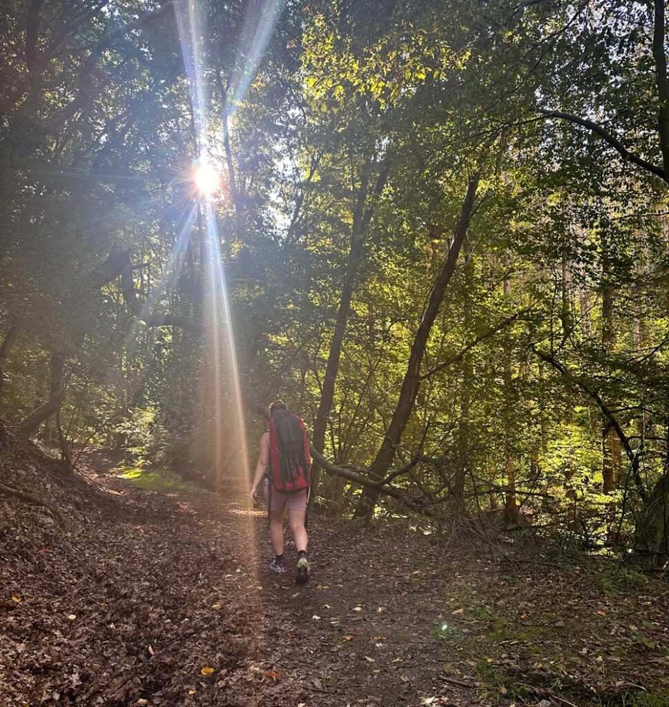 Sentiero a piedi attraverso la foresta durante un'avventura di packrafting in Germania
